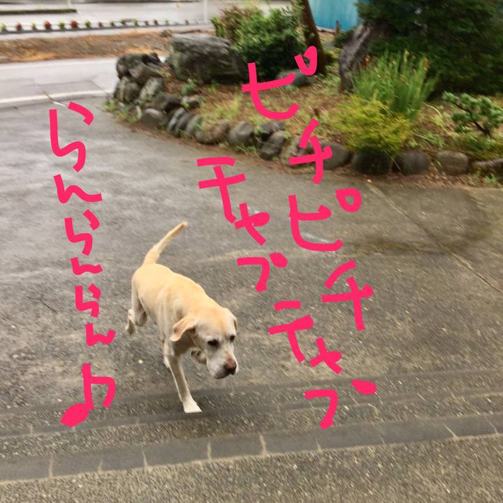 67bbfa77 97e9 429c 9078 252718d0d5b9