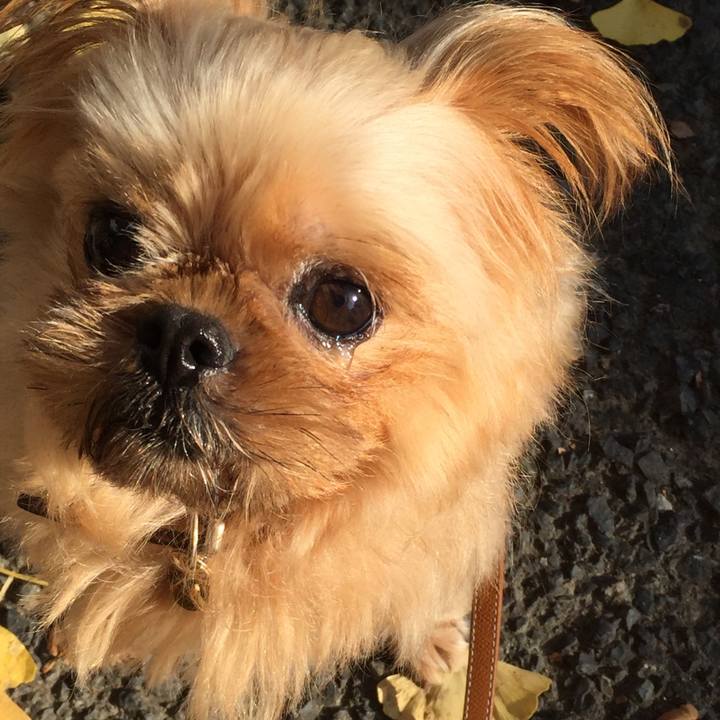 67bc3d48 09de 4600 bd23 d9778c98648c