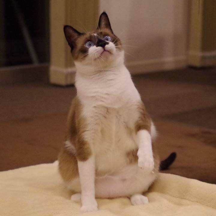 67bc5a06 e999 433b 99e7 0c961cb02c9e