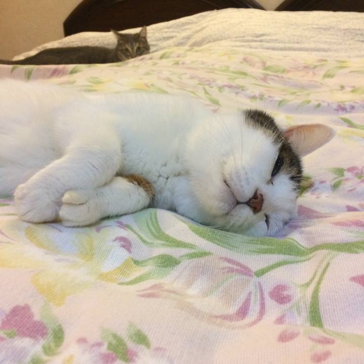 67bc72c3 1e84 4597 82b7 60814f19d284