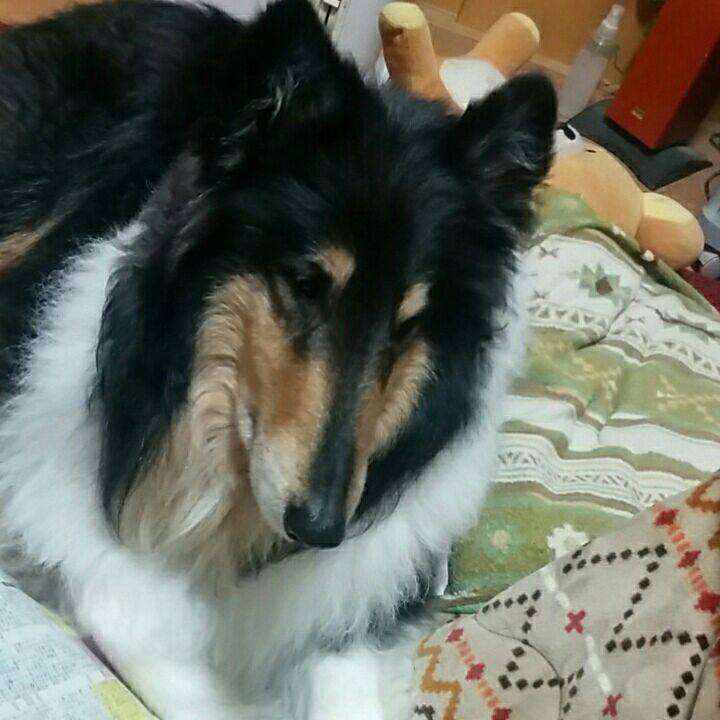 67bc9064 357b 4903 9fc7 da9b87c0202f