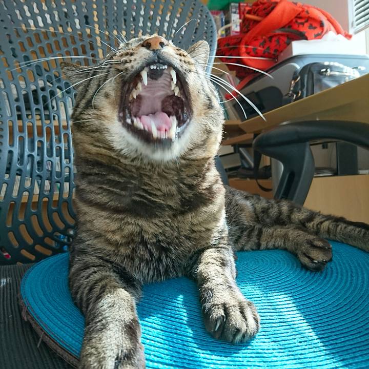 67bd1387 92b0 4e65 a922 e4e5bed64a22