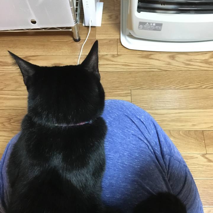 67bd23b8 27f1 4969 aa05 415f226274c7