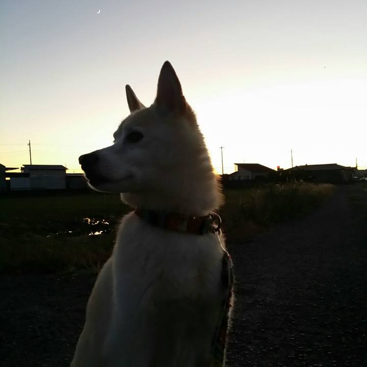 67bd2421 03a6 4116 81ca de5e3ea4735b