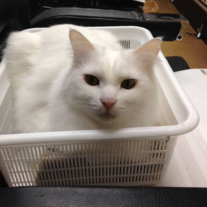 67bd7983 3fa8 4c47 b02f 6bbd96d94c89