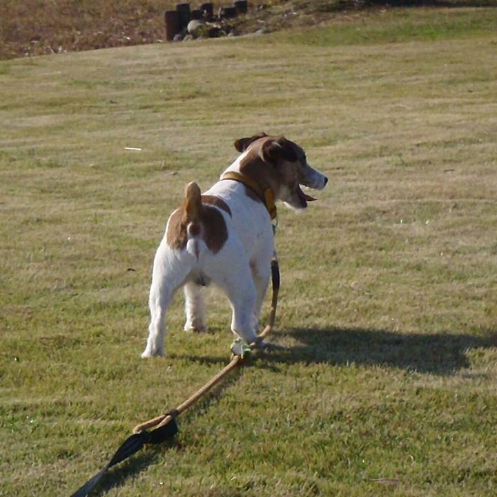 67bd915c d86b 4664 9449 0d3048a18caf