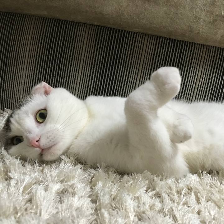 67bdc76c 2138 4acd 8dcc 1492f9b8bd8b