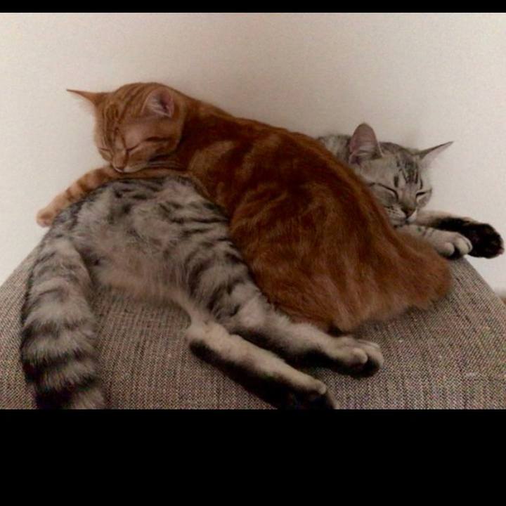 67be5ffb cbab 4b47 b2a9 d825a8ec33f5