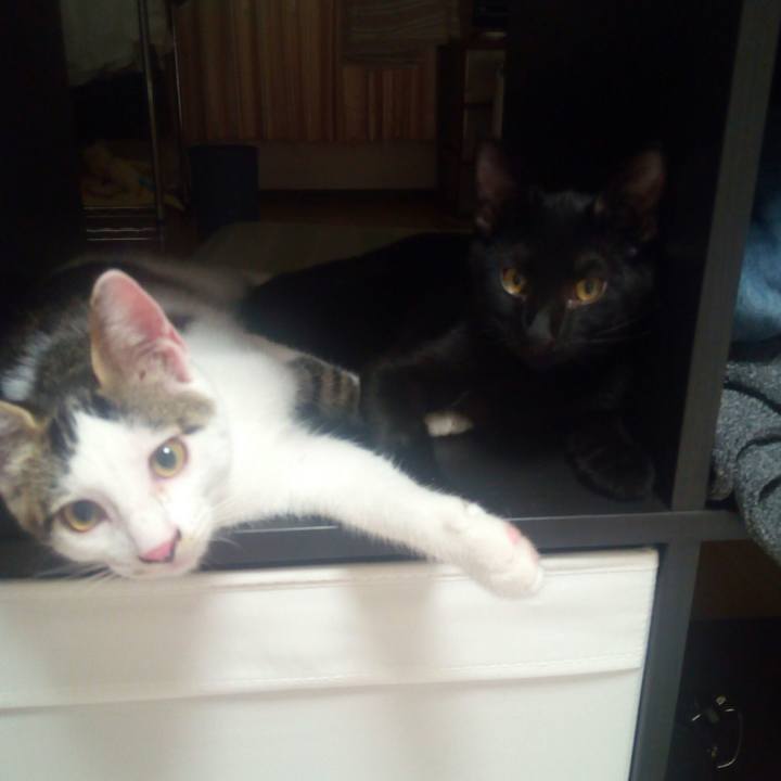 67be71e0 ae68 4cf0 94da e90640f5b671