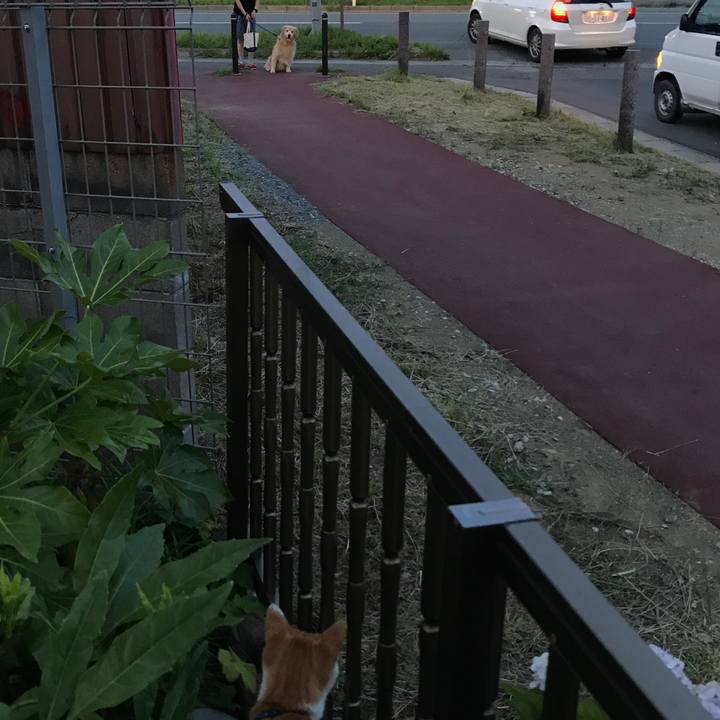 67be7799 40d5 409f b1b4 dd11a6b1956d