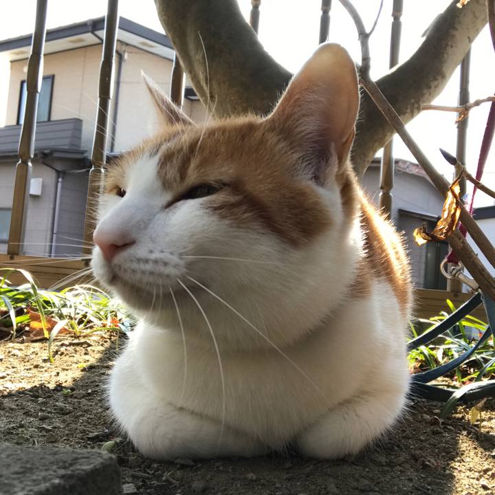 67bf4f34 dc22 4cb6 98f4 3d0bc5767182