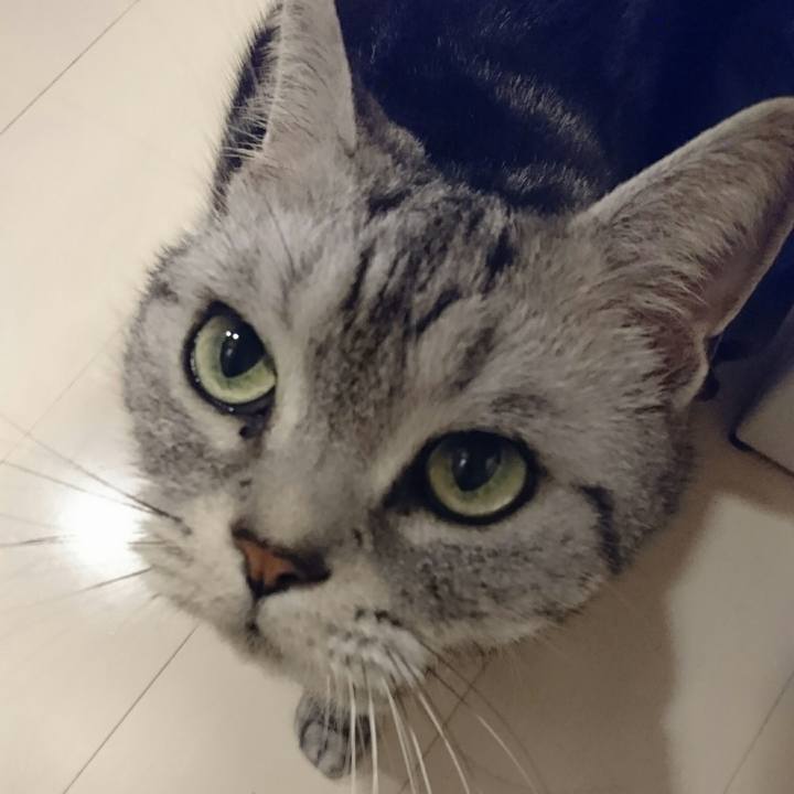 67bf7ba5 500a 46df b6a0 52c70f9193bd