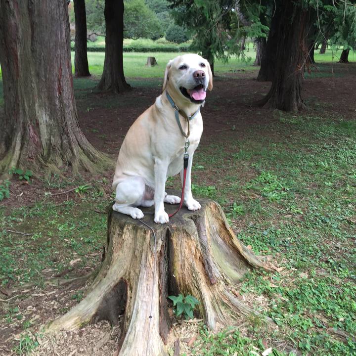 67bfc0b0 906c 42ea b6b5 74968ca6fbc5