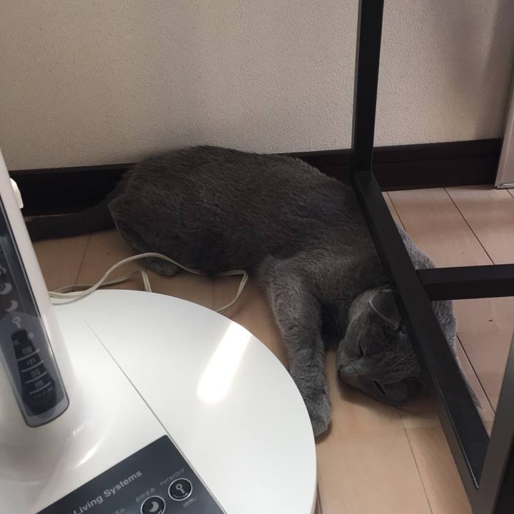 67bfc48e 3e8d 4921 b8e9 1ce58030a40c