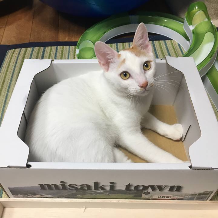 67bfcda2 f2d2 4723 a80c cd25bc6d06e1