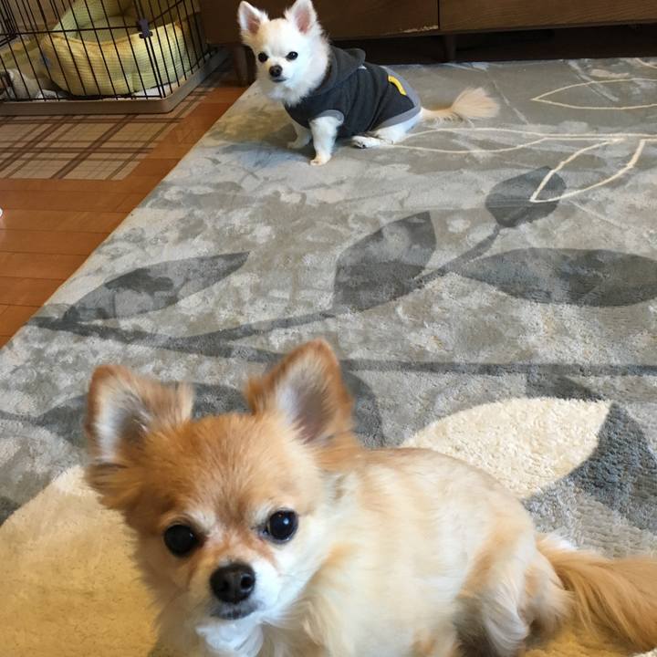 67bfdb28 3700 4be3 a5d0 81dc29f654c6