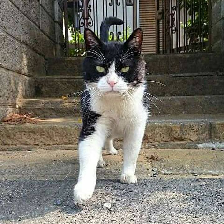 67c03365 b8cb 49e5 bf9e 39f9ad109e31