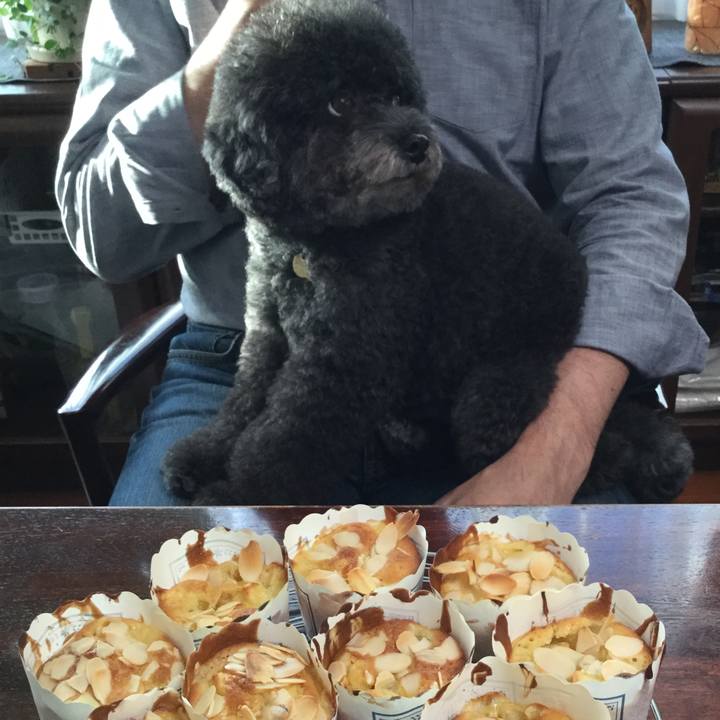 67c19b24 4ec1 4b81 8636 032ddd578d83