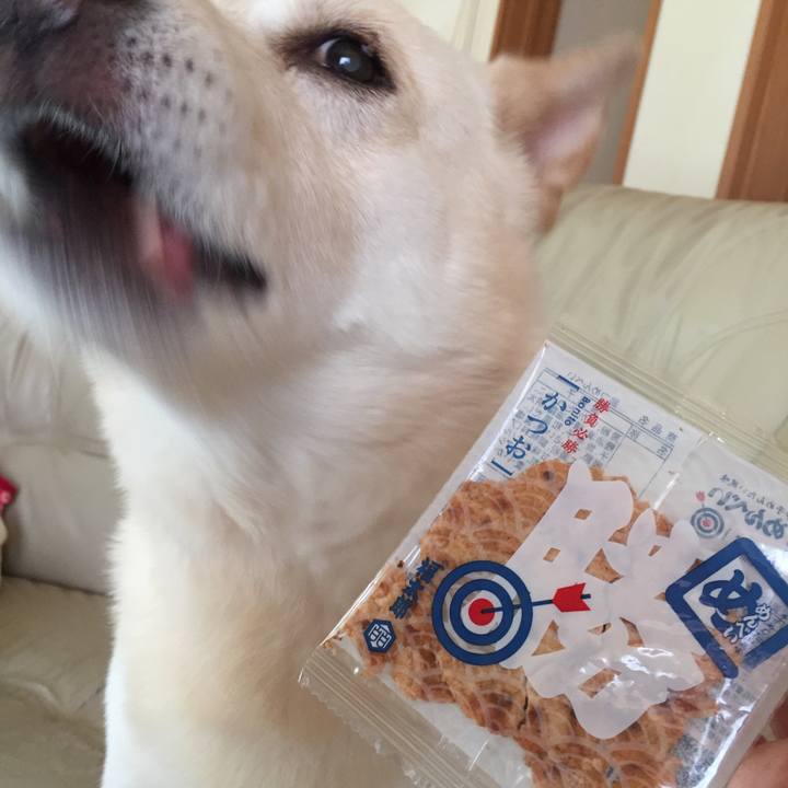 67c3a7ff 93da 4ea0 a7f0 91bd4dd9d1a1