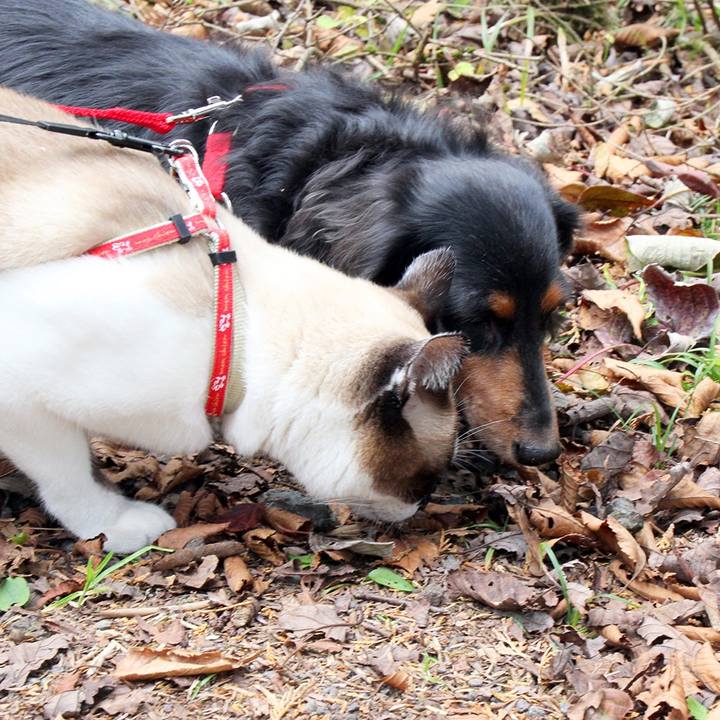 67c44912 e443 45b0 970a da714a6625e0