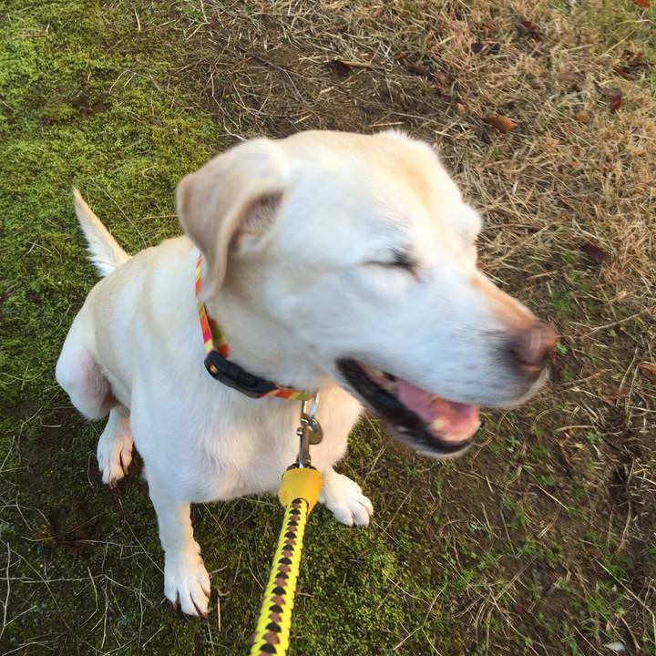 67c45078 b989 499a 83a9 c443345b062e