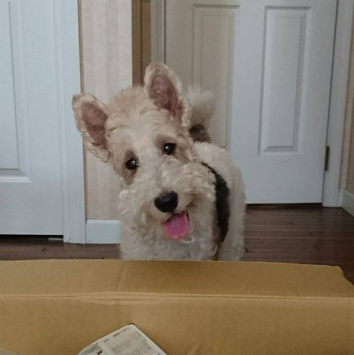 67c46259 cd8c 4a00 9996 070b6bb8d478