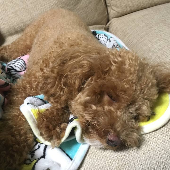 67c47f46 2d69 4be6 9725 d651fb407e7e