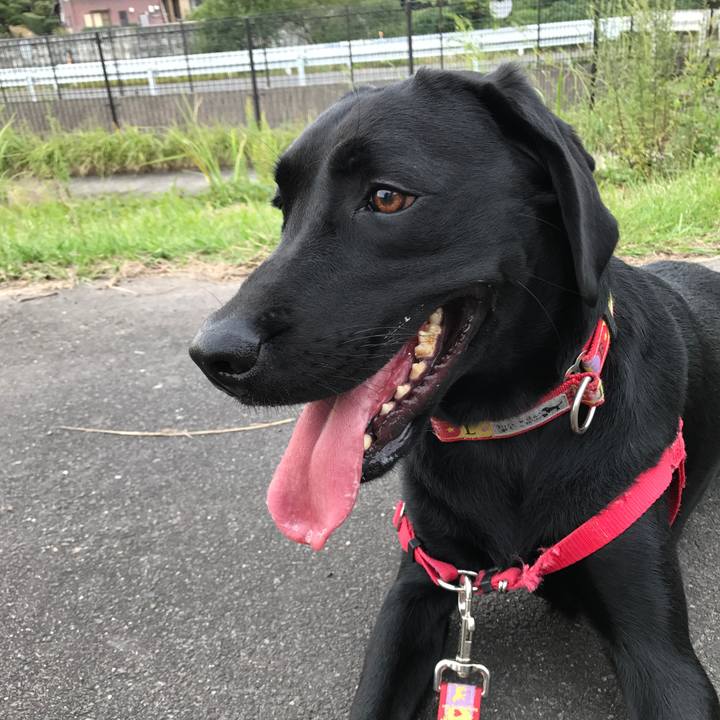 67c48be5 9d6f 4c7d 8e31 653d6caf2bae