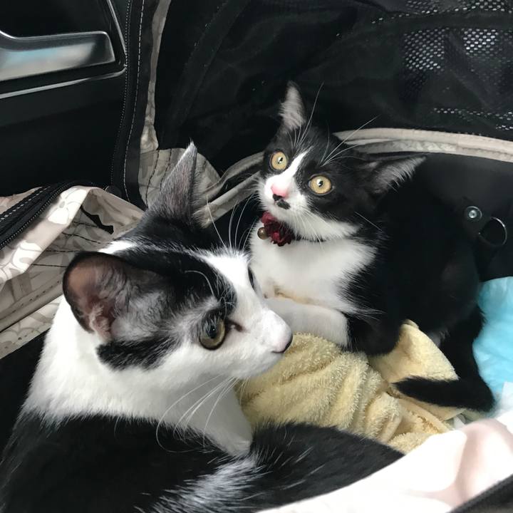 67c5c269 747c 4f4b bf70 0b2d9f6fecb6