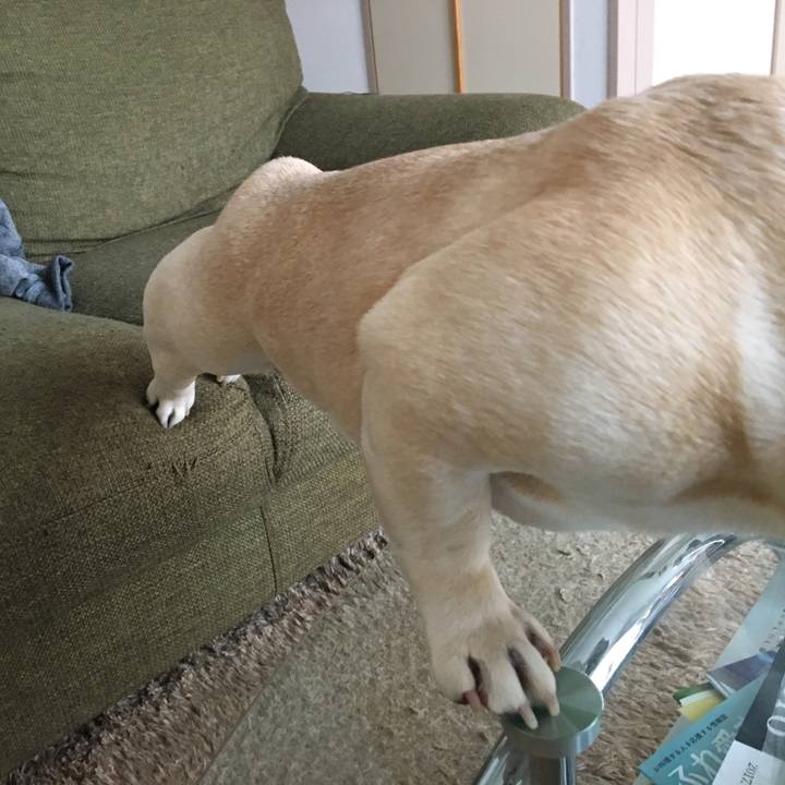 67c5da09 7c61 415b 92b4 19a4faa09e9d