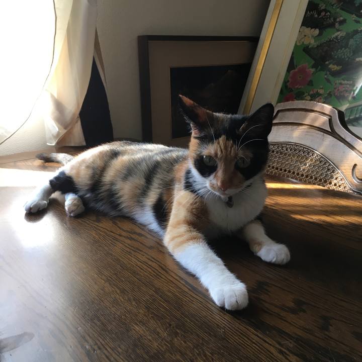 67c6b67f 083d 4560 baa0 162b2a947d07