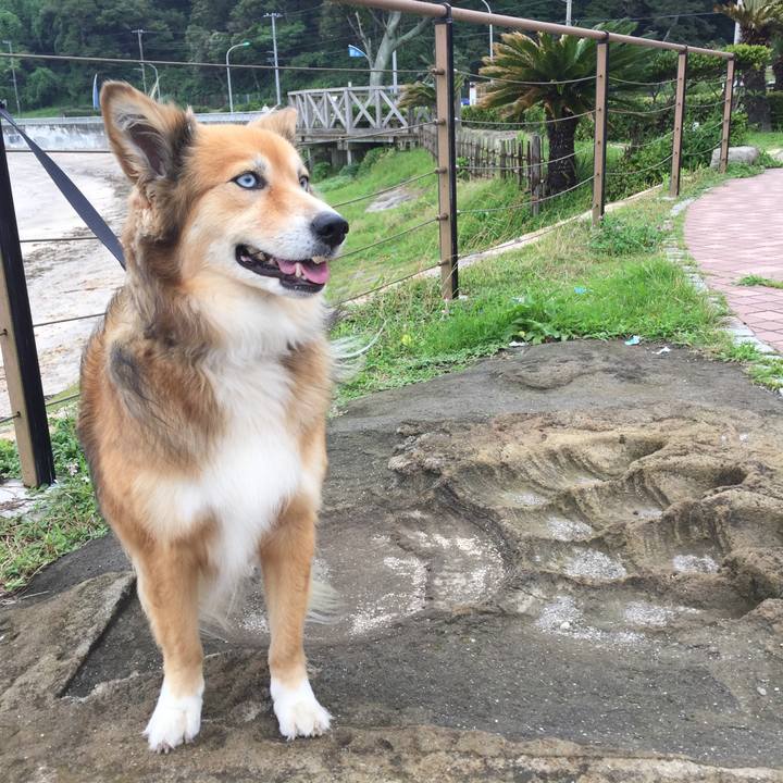 67c6f46c ea19 4cbd 973d 96defa85dd64