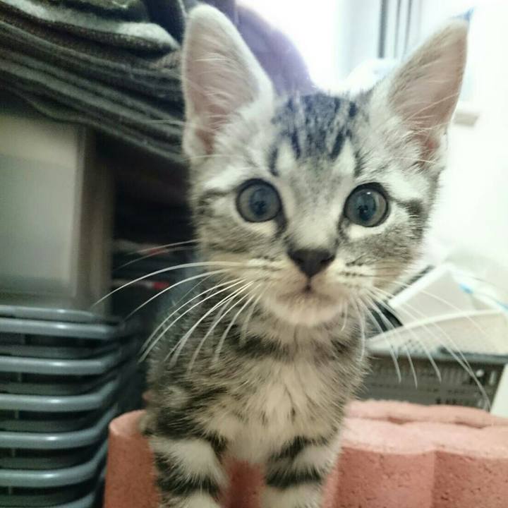 67c7bd99 bee8 4b82 81c1 cd35c33a1bd9