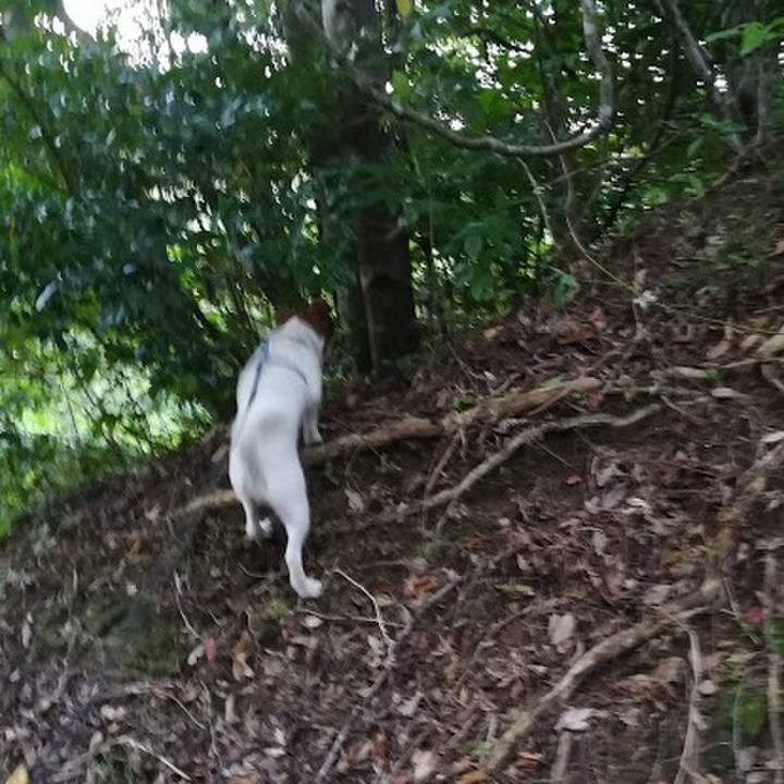 67c826eb 449f 4255 92d1 46ecdf2dd001