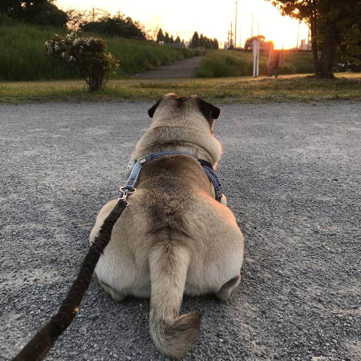 67c8991b 749b 419c 8c15 74e7246775dd