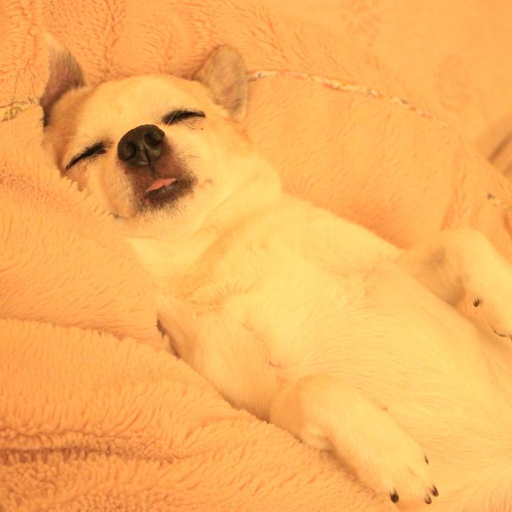 67c919bc eb01 4d38 a7d6 50e3f76bbe56