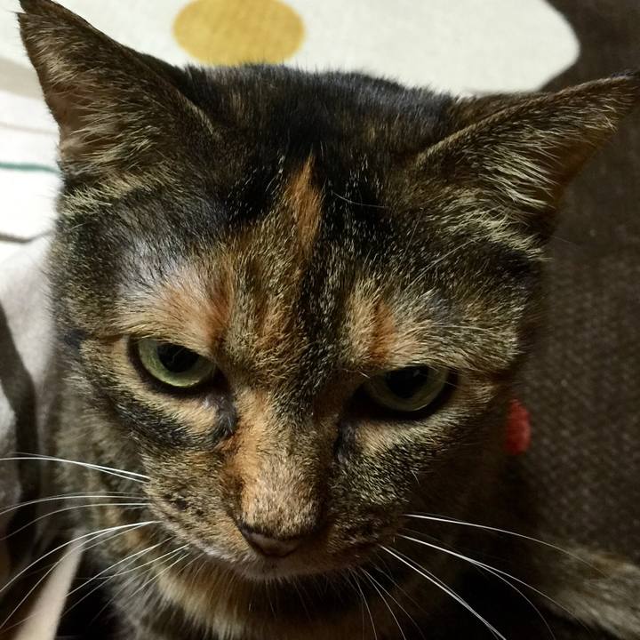 67c98d74 87f8 478e aa61 05aa41ad691f