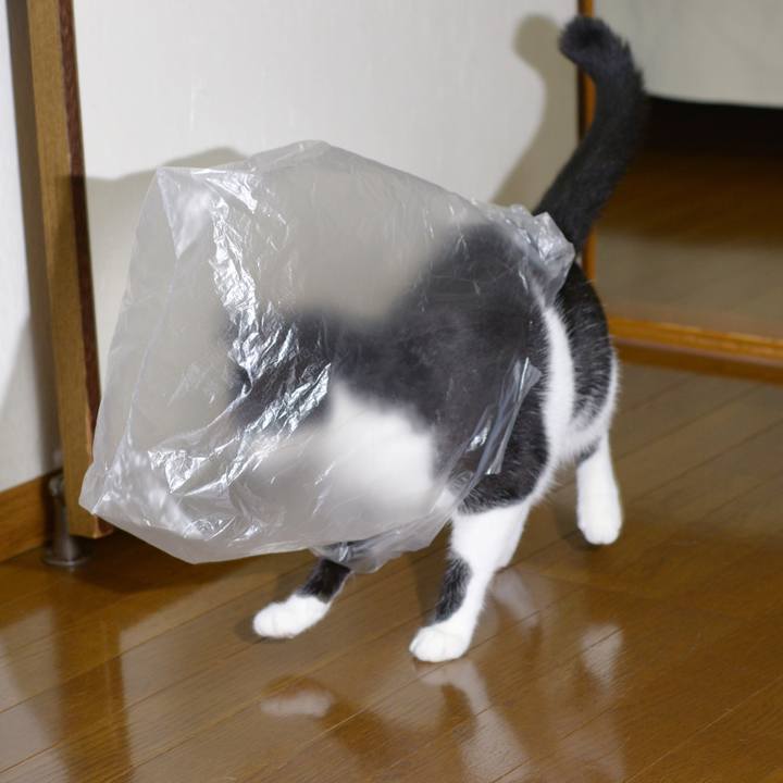 67c99ca2 f4db 4a06 a07e 353d384f76a0