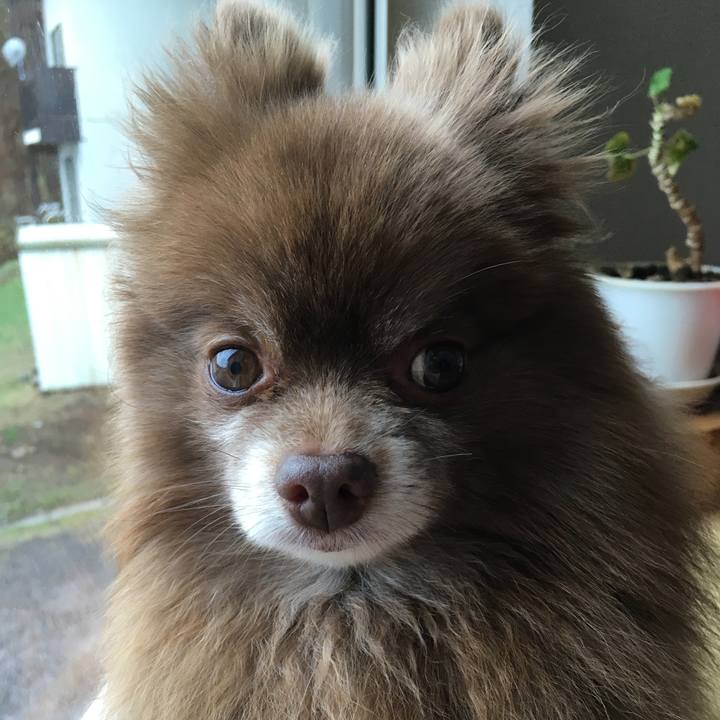 67c9b3a5 66ee 46b4 9889 57ea43fbd7ba