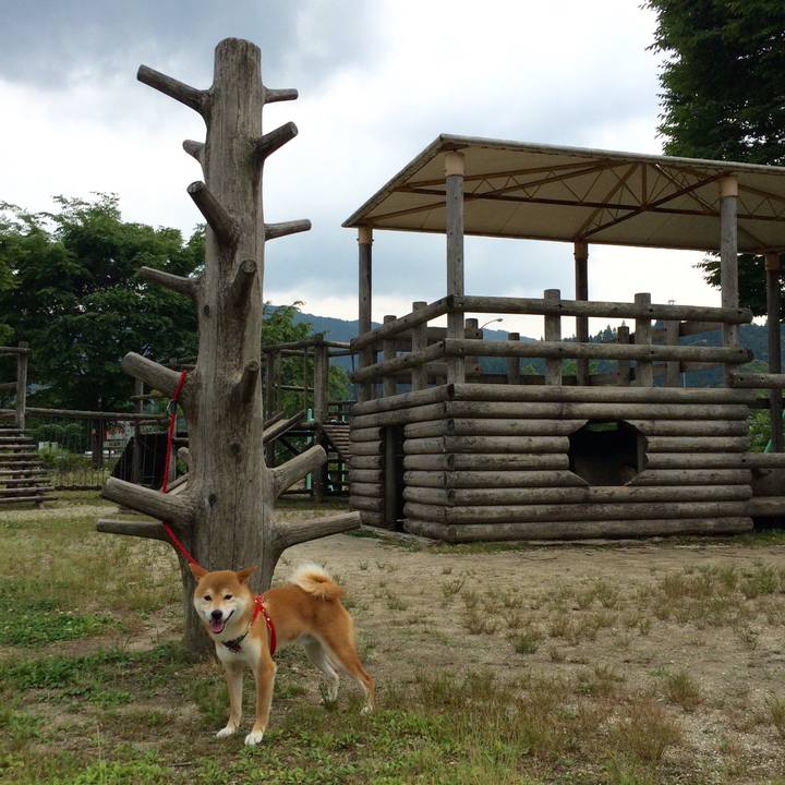 67ca646e 2428 4899 a349 7ef2915dadfe