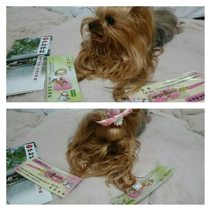 67cac60b 4167 4a6b a8a6 71f1255ecf01