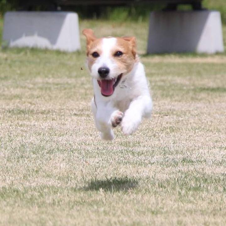 67cacb66 58ed 4bf0 bad2 e056d4960919