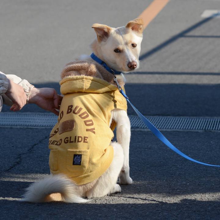 67cb3756 3cad 4702 94e4 f6e5d755899f