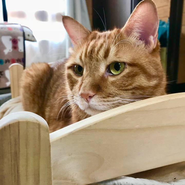 67cb9c82 cb95 4e9b bedf 897183dc0aa2