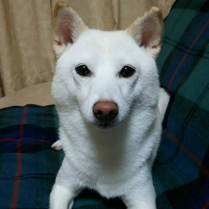 67cc4ce9 6ef8 44ad bfd3 919bb39ef4b6