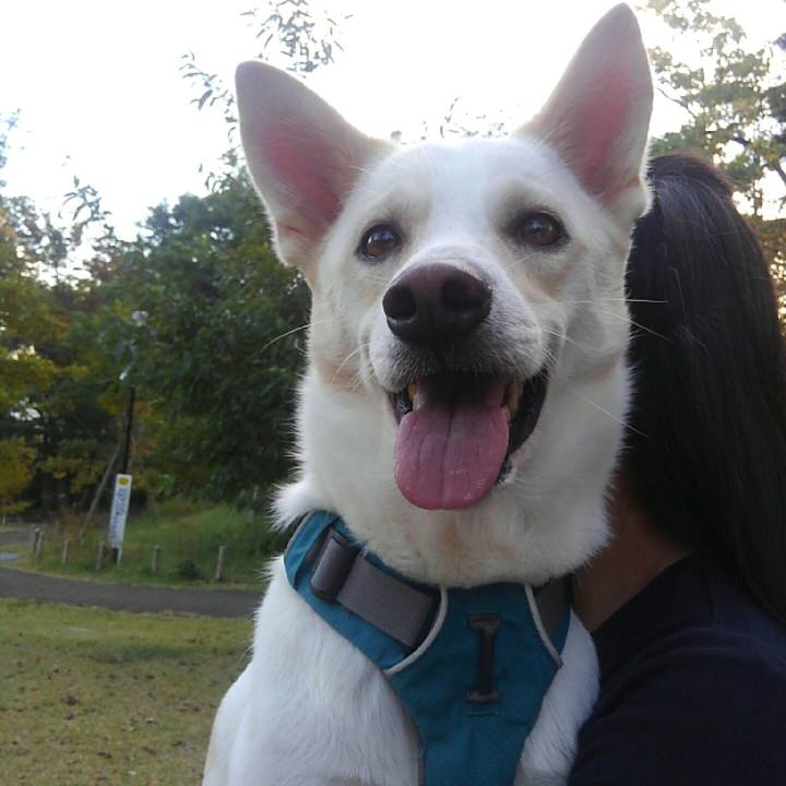 67cd49fd d70c 43e1 b70a ad0ccd3fbef0