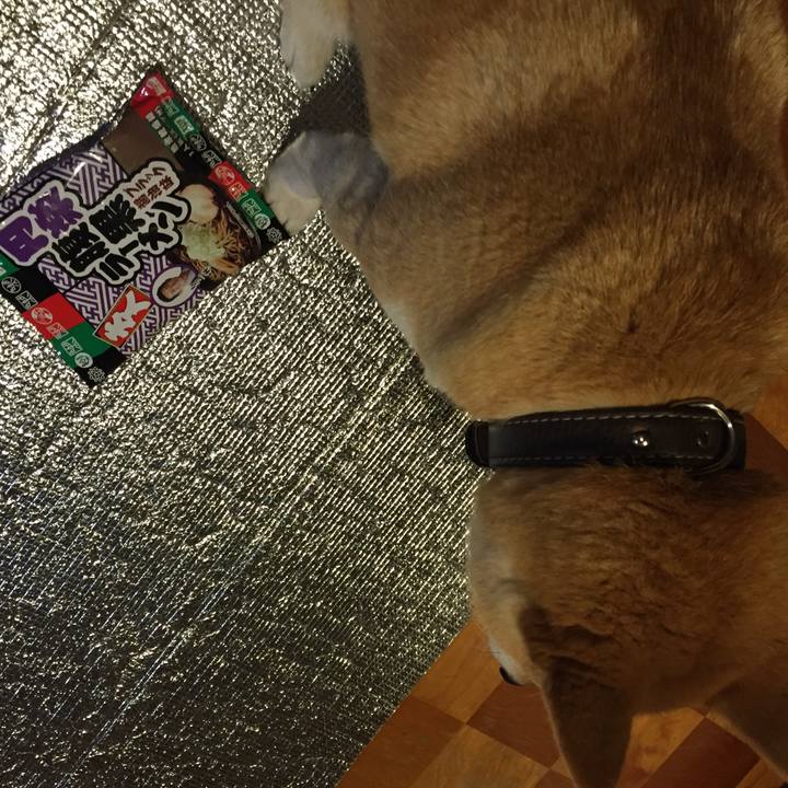 67cd6a35 ee8b 4381 b658 4600f70401dd