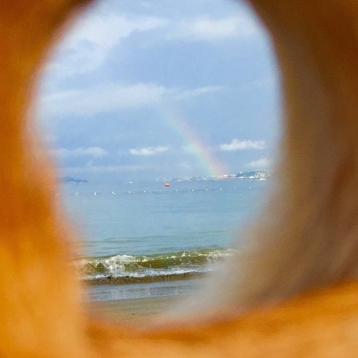 67cdb00b 8b53 45e3 9801 c36c1f1c6d8c