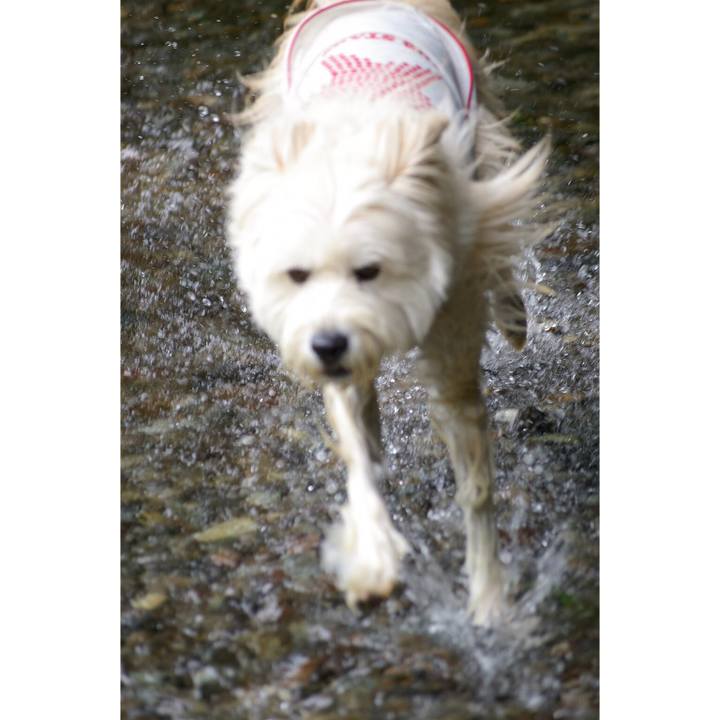 67cea8ea fc7b 4fc4 85ba 431d3379efca