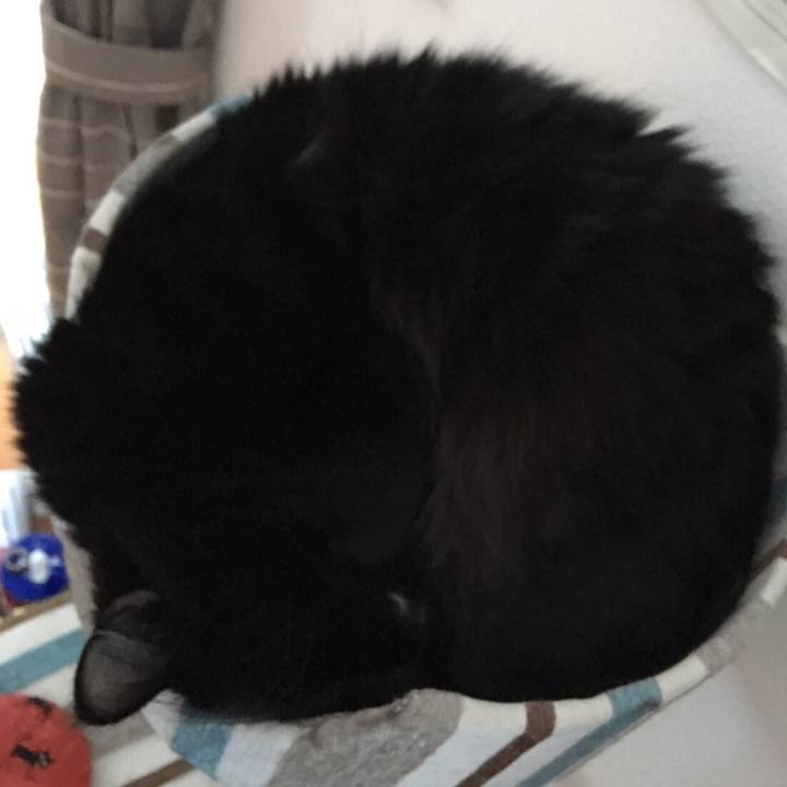 67ceda36 f09d 4cdb b157 3b6f6dc41dec